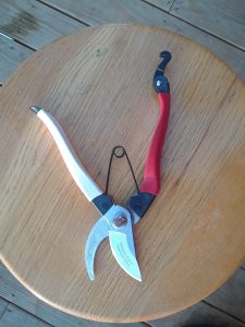 Red and White pruner