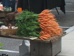 Harvest at market.