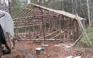 Purlins on South side.