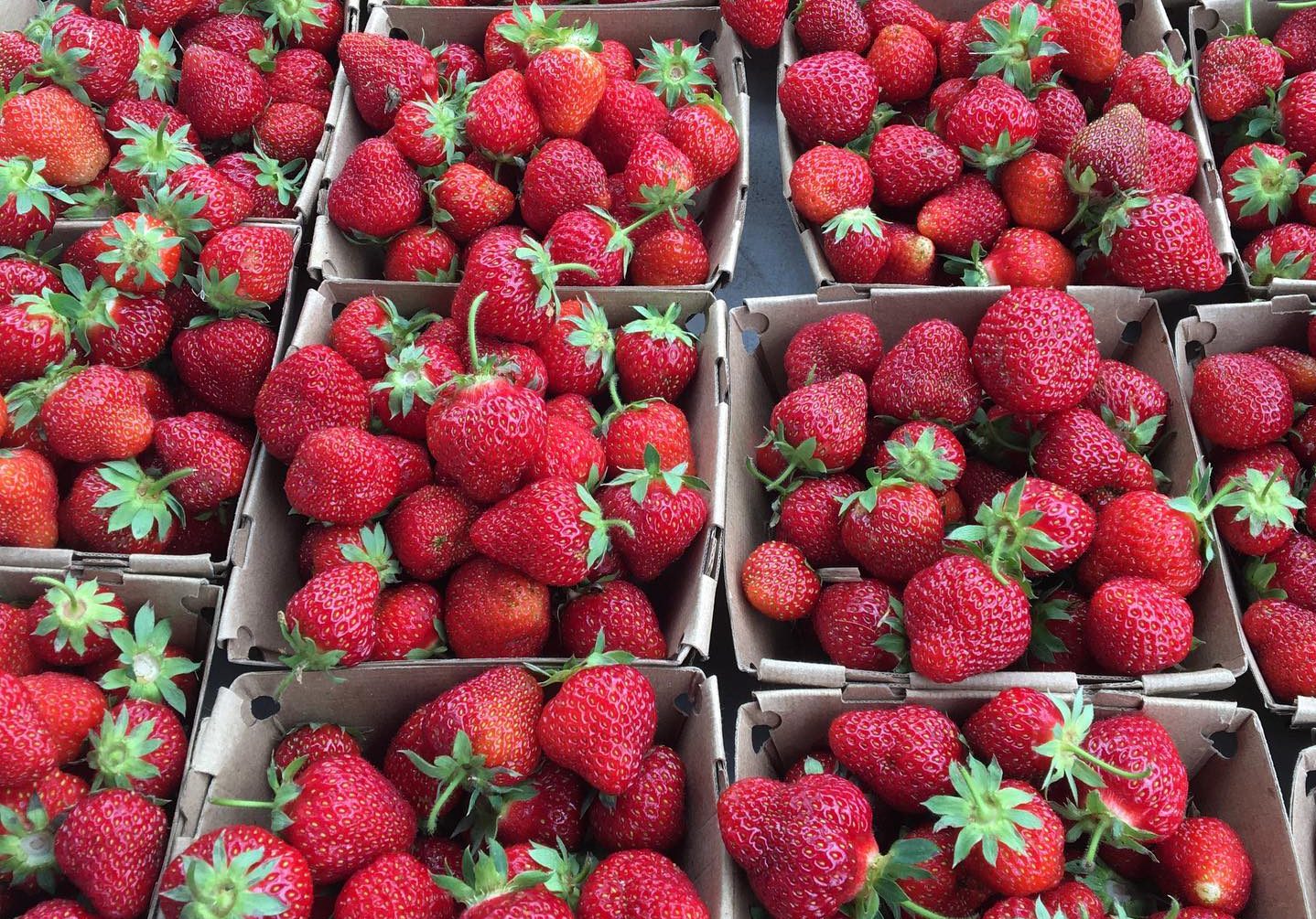 Downtown Waterville Farmers' Market